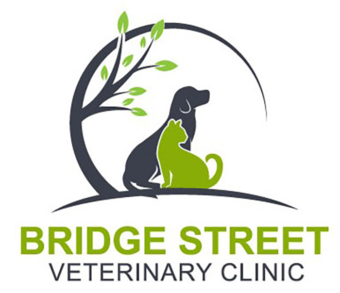 Vet Near Me Brighton, CO | Bridge Street Veterinary Clinic