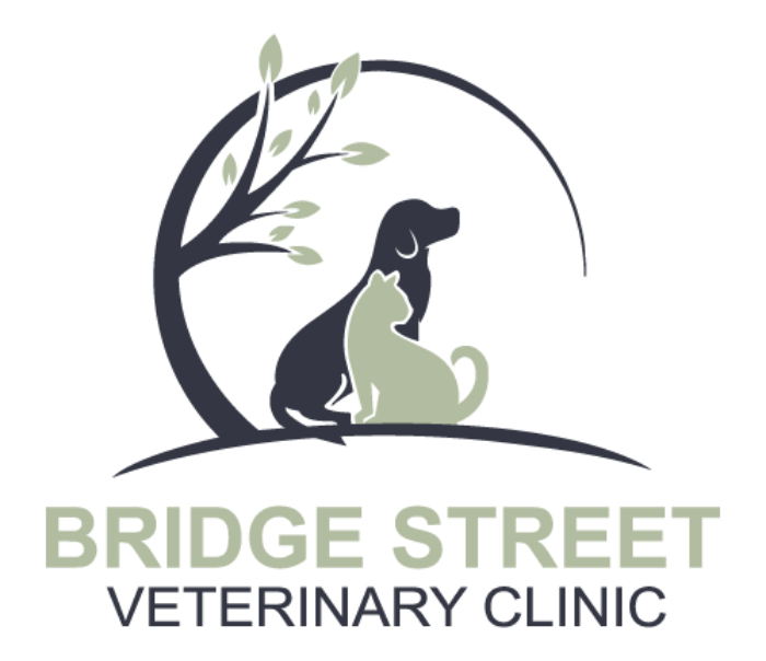 Bridge Street Veterinary Clinic